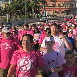BC Walk 2017
